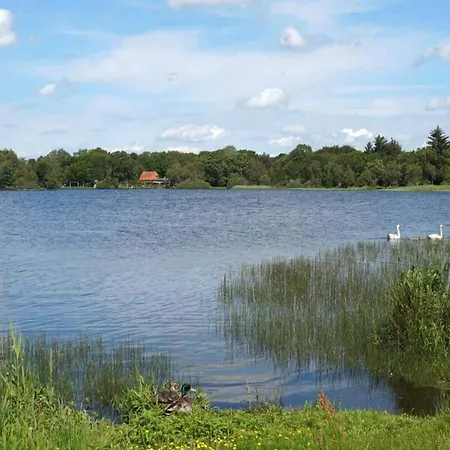Feriehus 5 Star In Ansager